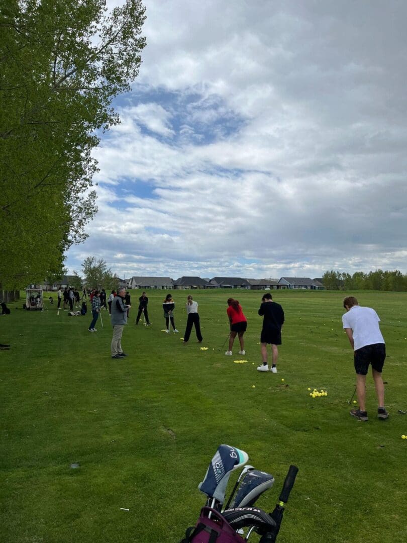 Group practicing golf at outdoor driving range